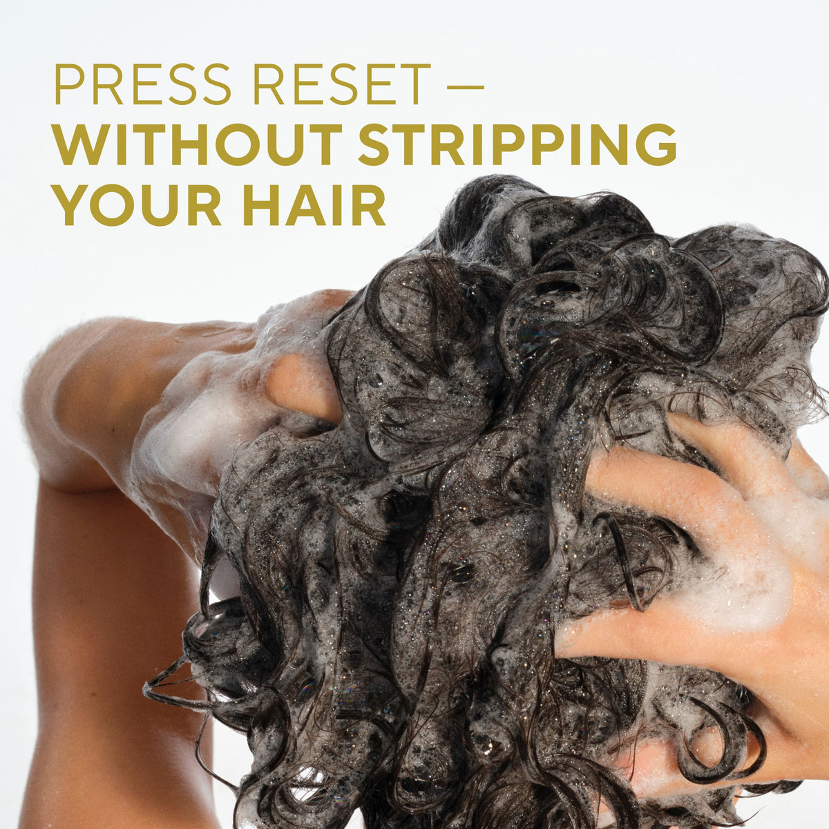 Curl Care Shampoo